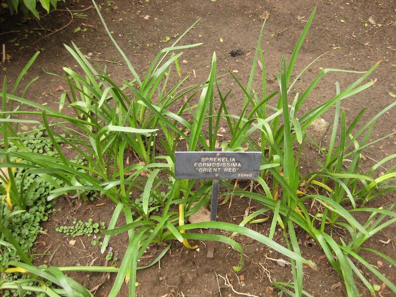 File:1280px-IMG 7090 hunt09jun.jpg