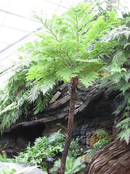 File:576px-IMG 0912 bbg09.jpg