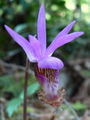 Thumbnail for version as of 10:14, 27 June 2007