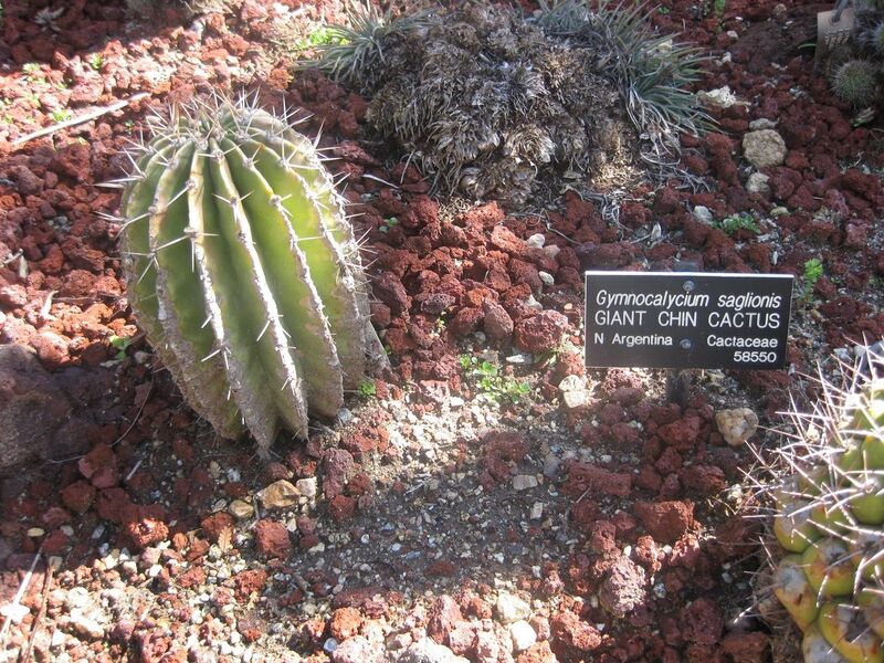 File:1280px-IMG 2471 hunt0903.jpg