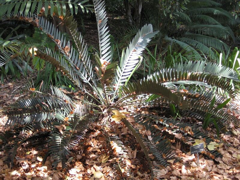 File:1280px-IMG 4170 hunt0904.jpg