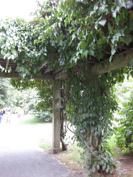 File:IMG 1345 bbg09.jpg