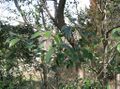 Thumbnail for version as of 09:03, 29 April 2025