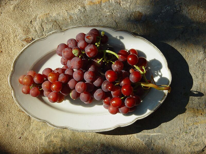 File:1280px-Grape 00005.jpg