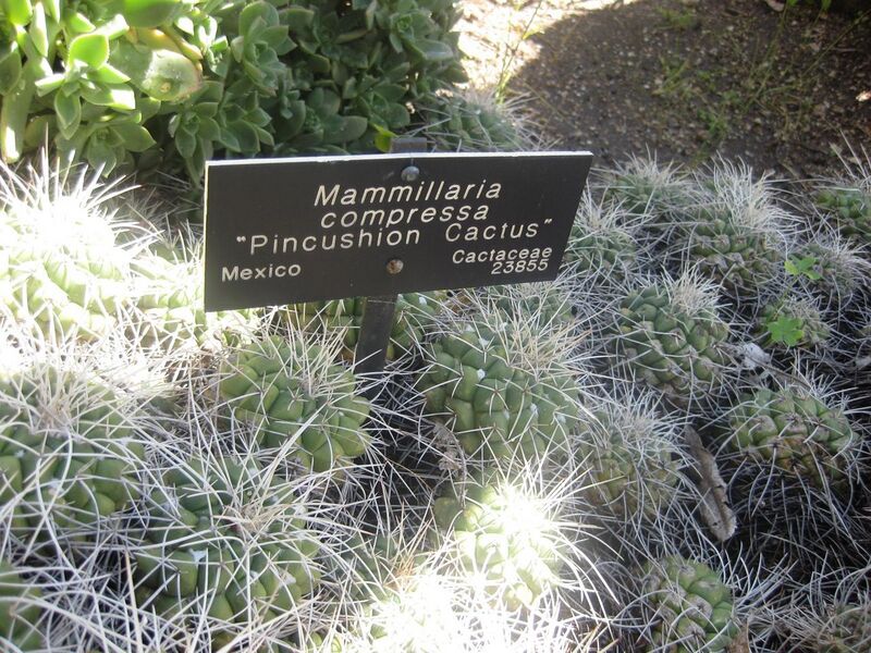 File:1280px-IMG 2161 hunt0903.jpg