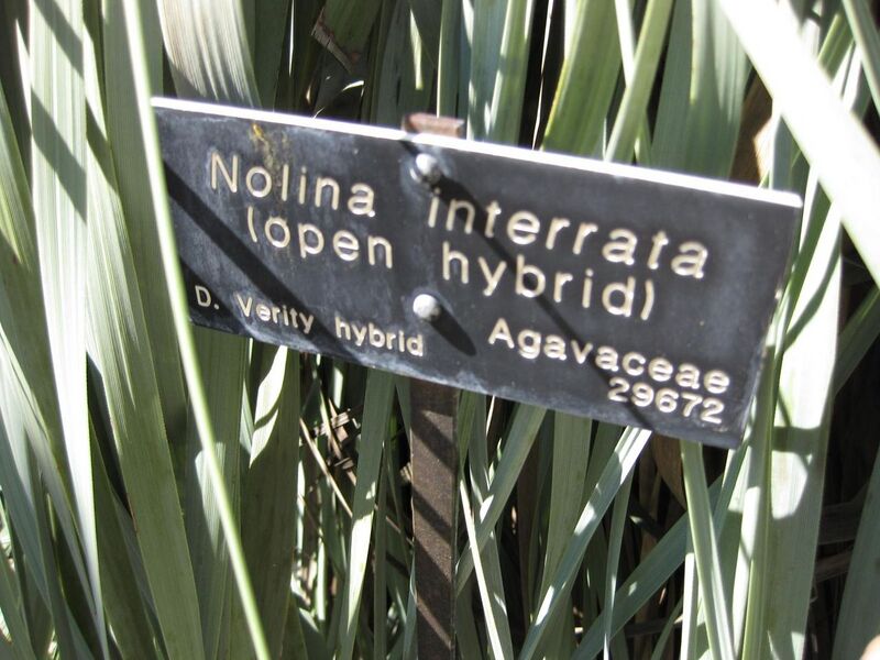 File:1280px-IMG 2494 hunt0903.jpg