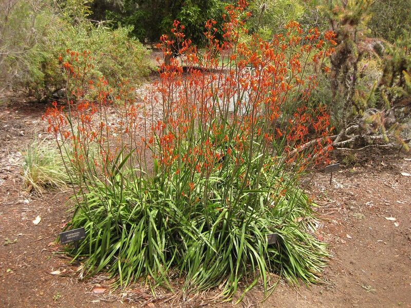 File:1280px-IMG 7307 hunt09jun.jpg