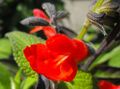 Thumbnail for version as of 10:04, 29 April 2025