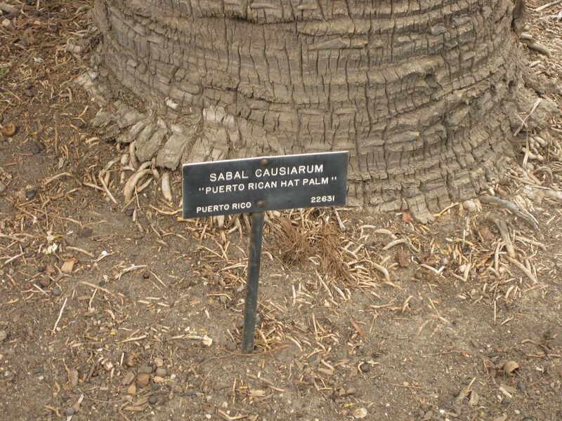 File:1280px-IMG 4060 hunt0904.jpg