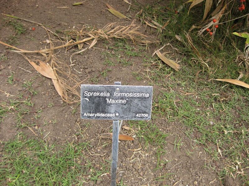 File:1280px-IMG 4090 hunt0904.jpg