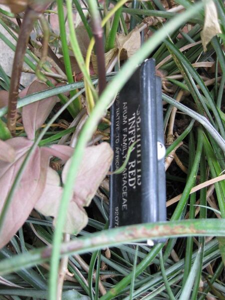 File:576px-IMG 1018 bbg09.jpg