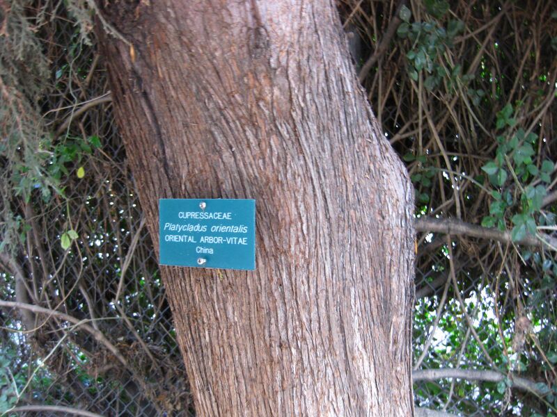 File:8rj3fp28g8iulr4zw2vnv0v7duer87j.jpg