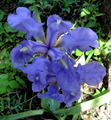 Thumbnail for version as of 19:05, 19 November 2007
