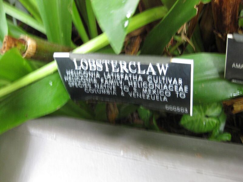 File:1280px-IMG 0940 bbg09.jpg