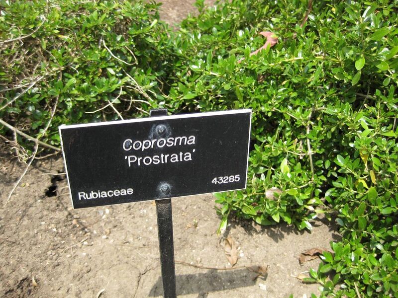 File:1280px-IMG 4488 hunt0904.jpg