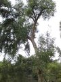 Thumbnail for version as of 10:26, 29 April 2025