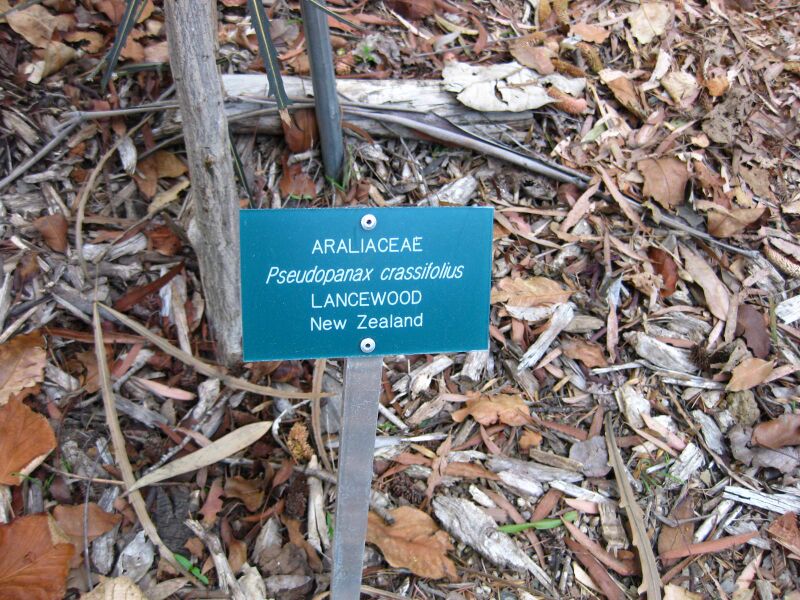 File:Lekkbhgbs9fipwbkrya08w50rq63ruj.jpg