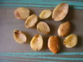 Thumbnail for version as of 11:24, 5 May 2007
