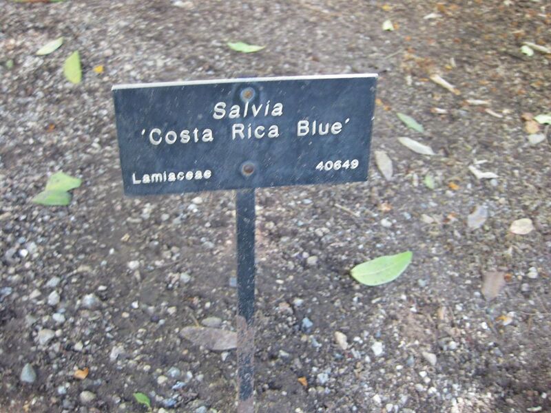 File:1280px-IMG 1996 hunt09oct.jpg