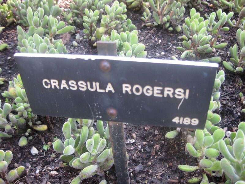 File:1280px-IMG 2138 hunt0903.jpg