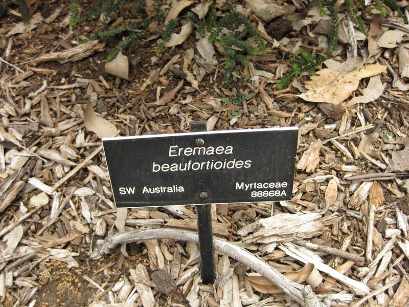 File:1280px-IMG 7291 hunt09jun.jpg