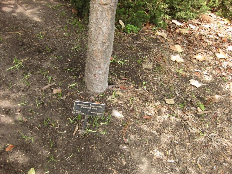 File:1280px-IMG 7371 hunt09jun.jpg