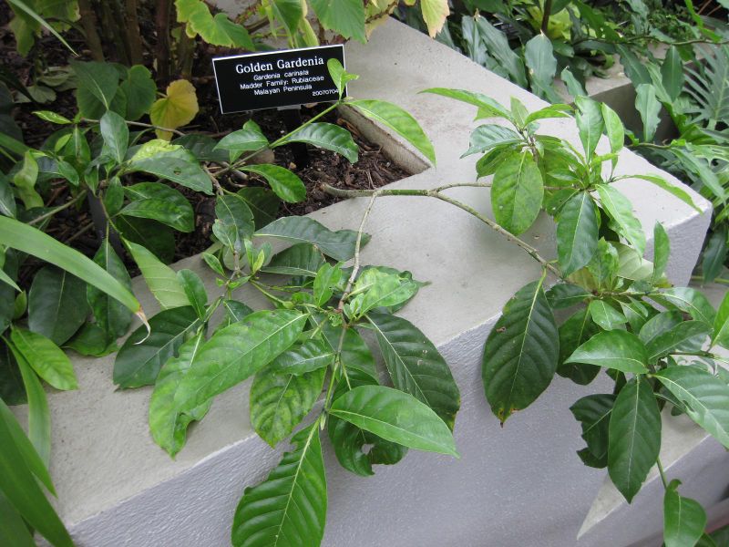 File:IMG 1045 bbg09.jpg