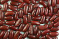 Thumbnail for version as of 10:36, 12 July 2007