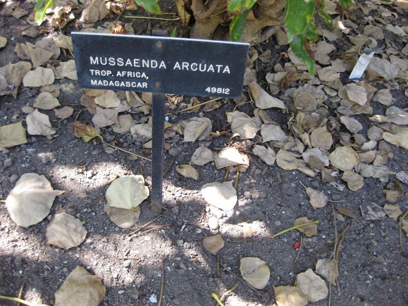 File:1280px-IMG 1942 hunt09oct.jpg