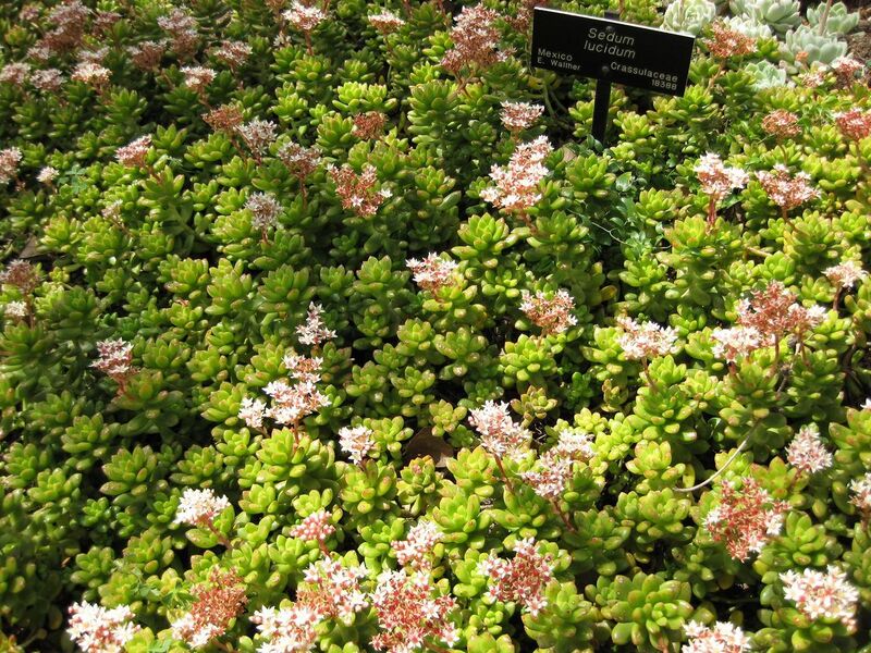 File:1280px-IMG 4289 hunt0904.jpg