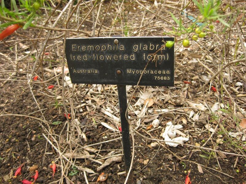 File:1280px-IMG 7182 hunt09jun.jpg