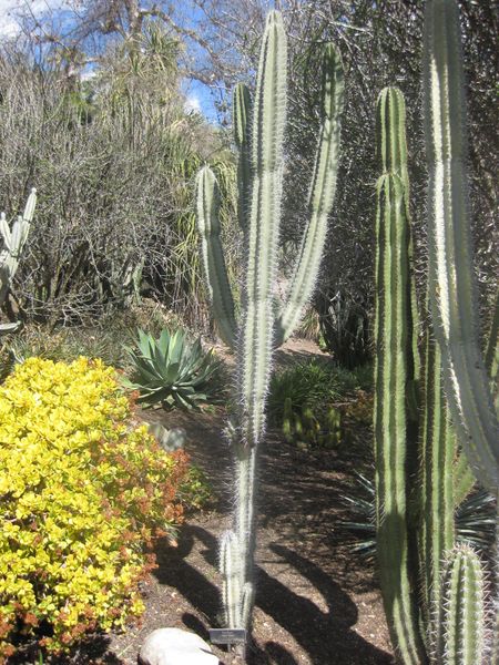 File:IMG 2237 hunt0903.jpg