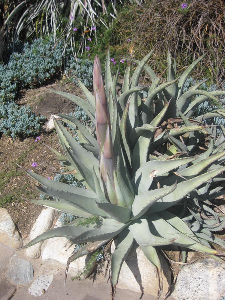 File:IMG 2319 hunt0903.jpg
