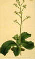 Thumbnail for version as of 09:54, 23 July 2007