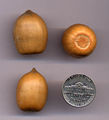 Thumbnail for version as of 07:58, 28 July 2007
