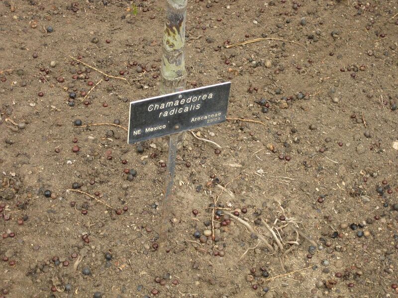 File:1280px-IMG 3958 hunt0904.jpg