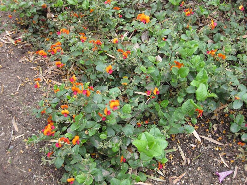 File:1280px-IMG 5055 hunt0904.jpg