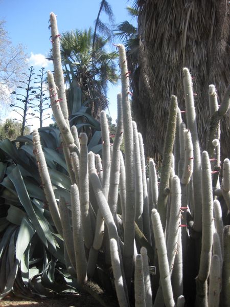 File:IMG 2165 hunt0903.jpg