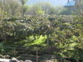 Thumbnail for version as of 11:18, 10 August 2007