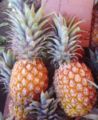 'Victoria', a cultivar of small, sugary and flavourful pineapples, is particularly popular on Réunion Island.