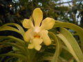 Thumbnail for version as of 11:22, 10 July 2007