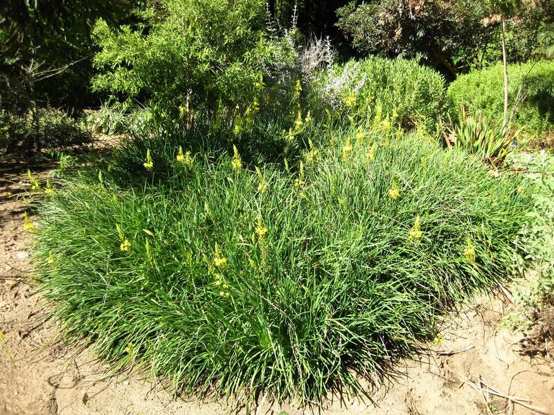 File:1280px-IMG 2053 hunt09oct.jpg