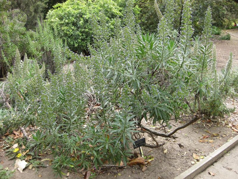 File:1280px-IMG 4972 hunt0904.jpg