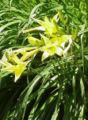Thumbnail for version as of 05:43, 20 February 2008