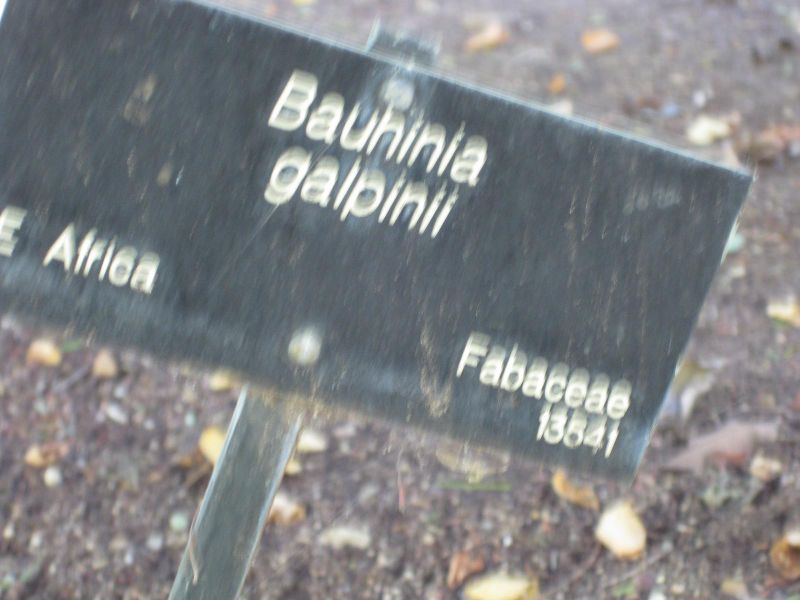 File:IMG 1989 hunt09oct.jpg