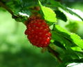 Thumbnail for version as of 18:01, 6 October 2007