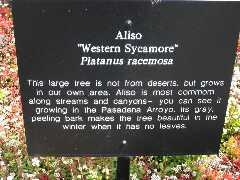 File:1280px-IMG 4287 hunt0904.jpg