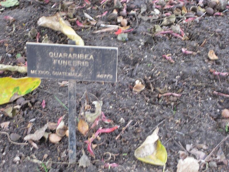 File:1280px-IMG 4995 hunt0904.jpg