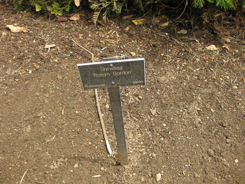 File:1280px-IMG 7316 hunt09jun.jpg