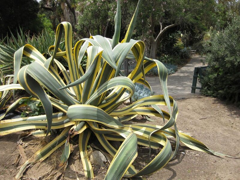 File:1280px-IMG 7441 hunt09jun.jpg